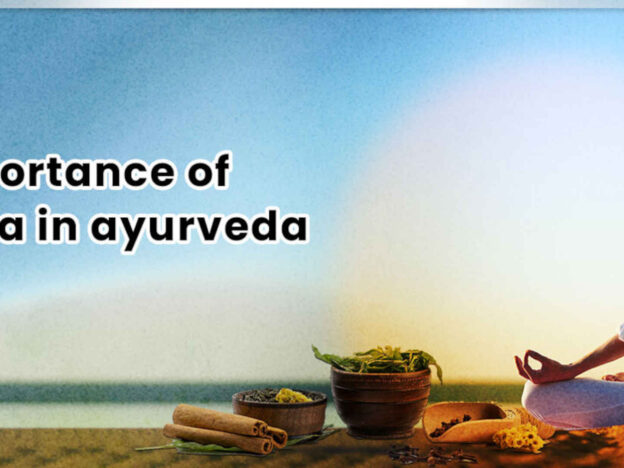 MIP Ayurveda course image