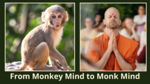 From Monkey mind to Monk mind
