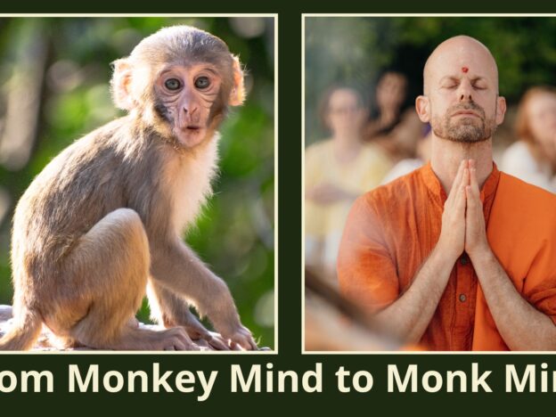 From Monkey mind to Monk mind course image