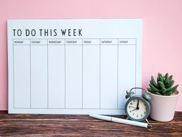 This Week on MIP course image