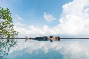 Program Finding Serenity: Yogic Remedies for Depression and Anxiety